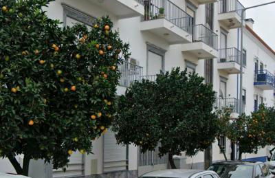 Casa da Rainha Santa - Foto 3