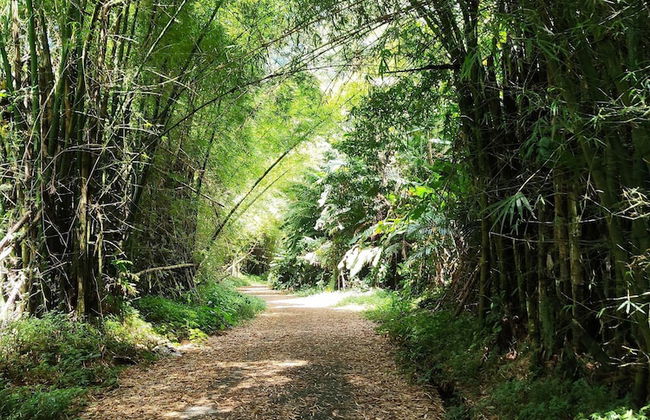 Beachfront Studios - Photo 34