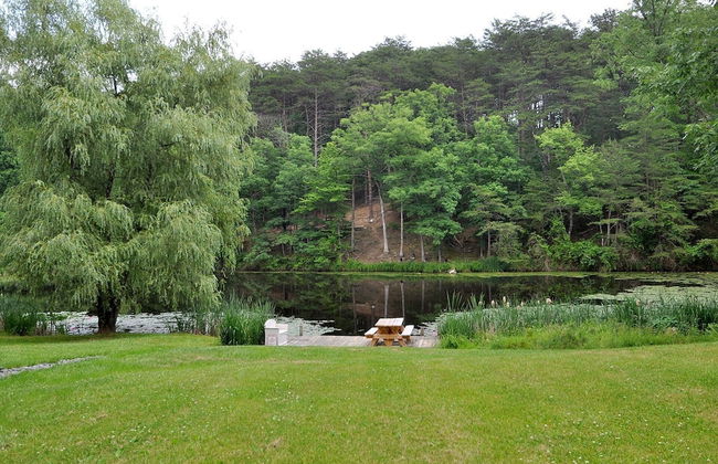 Pondview Cabin - Log Cabin Retreat - Foto 33