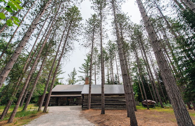 Uncle Tom's 3BDR Cabin For Nature Lover - Foto 64