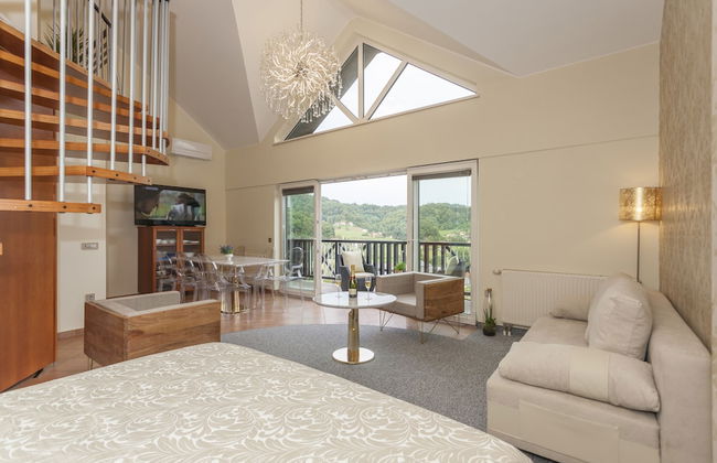 Duplex Penthouse Aparthotel Rosa - Foto 11