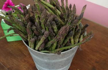 Agriturismo Campolungo - Foto 53