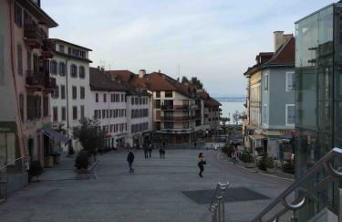 Appartement confort au bord du lac, proche embarcadère - Foto 10