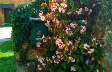 Casa o Furco - Foto 34