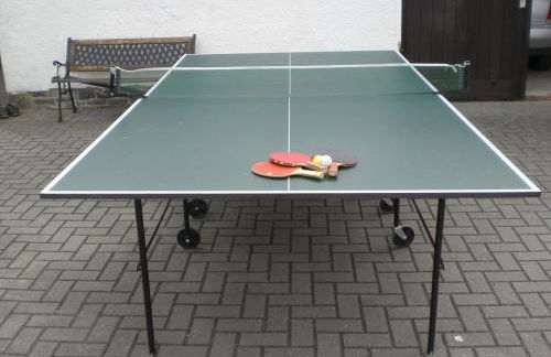 Ferienwohnung im Erzgebirge in Gelenau - Foto 49