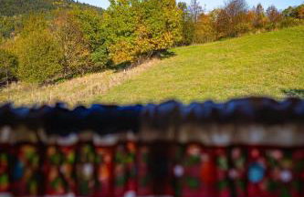 DOMEK NIEBIESKI W BESKIDZIE MAŁYM - Foto 30