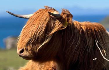 Bonnie Brae Croft Bothies - Foto 47