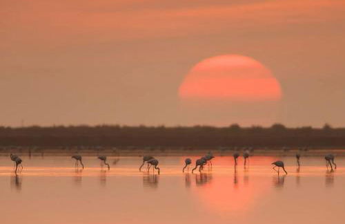 Piso nuevo y céntrico con piscina en Sant Carles de la Rápita - Foto 21