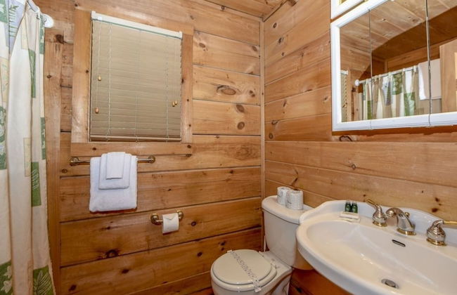 Creekside 2 Bedroom Cabin by RedAwning - Photo 9