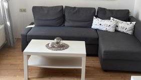 Seemöwe am Naturstrand - Foto 4