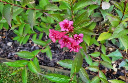 Lake HouseLubniewice domek całoroczny z jacuzzi blisko jeziora - Foto 19