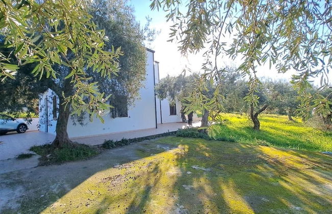 Villa Daniela Cefalù - Foto 67