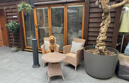 Little Woodside a beautiful New Forest self contained private luxury annexe - Foto 8