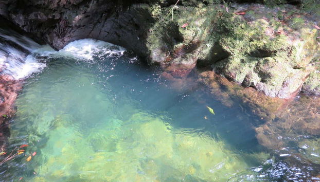 El Choro Trail 4 Day Hike - Foto 4