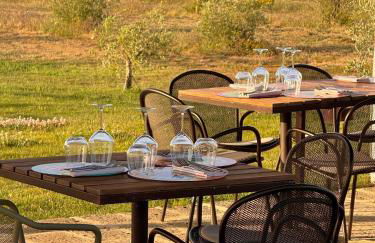 Casale Oliveta - Foto 13