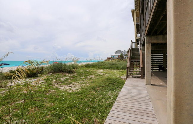 A Turtle View - Foto 47