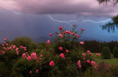 Jagdhaus Nantesbuch Comfortable holiday residence - Foto 7