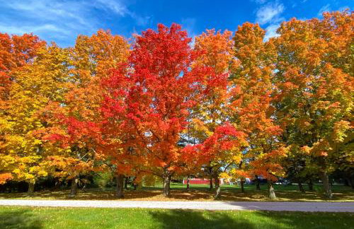 Shore Acres - Foto 31