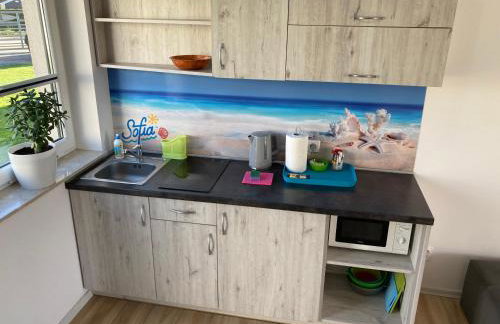 Sofia Dwupoziomowe Apartamenty - Foto 13