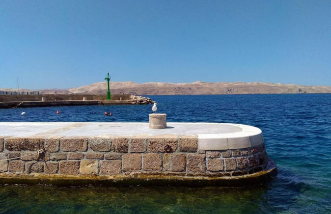 Holiday Home in Sukosan With sea Beach - Foto 34