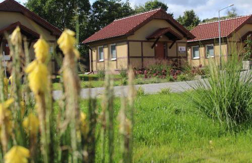 Marina Santok - Foto 22