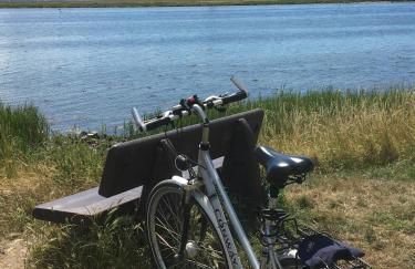 FeWo am Dorfteich - Foto 17