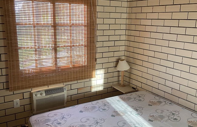 Haras Trevo de Ferro - Photo 5