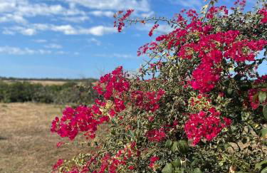 Country House - Photo 23