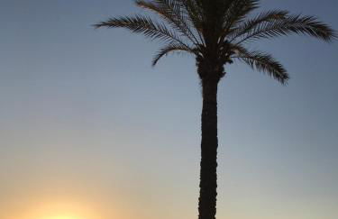 Es Pujols Vista Mare - Foto 52