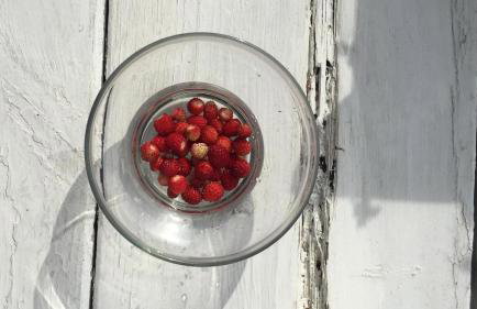 Błękitny Domek - Tleń - Bory Tucholskie - Foto 25