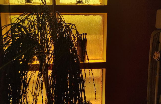 Beachfront Villa Africa Queen Jeffreys - Photo 15