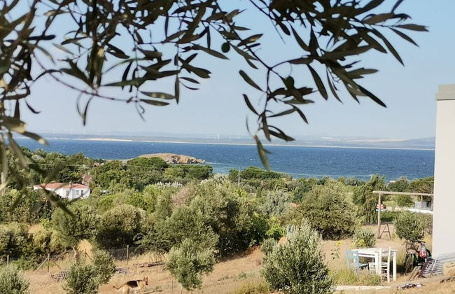 Zeus kır evi - Photo 75