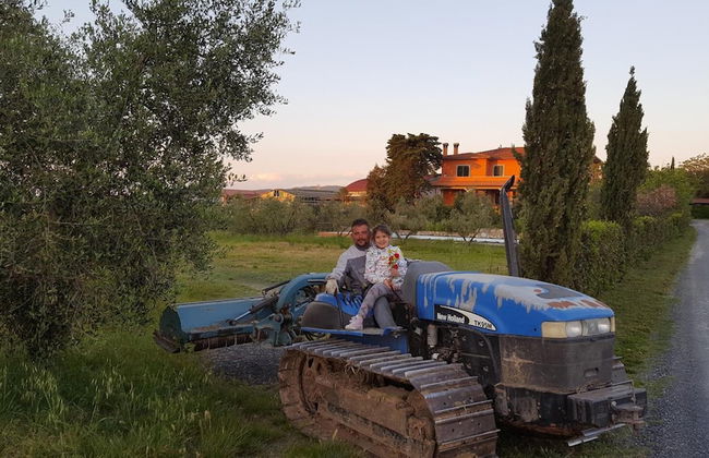 Agriturismo Il Giogo - Photo 42