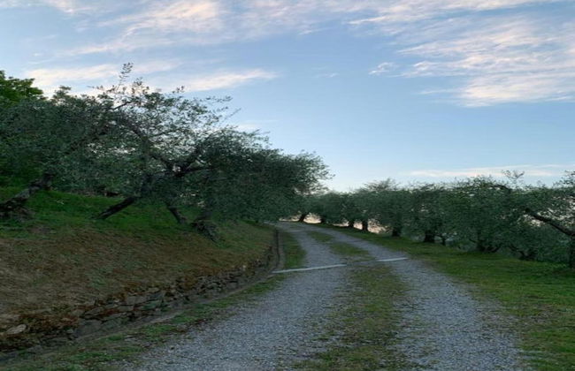 Capannori Playful Cottage - Foto 16