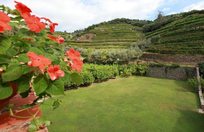 Agriturismo Buranco - Foto 13