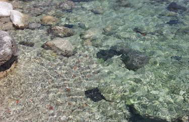 Villa Vera - Foto 30