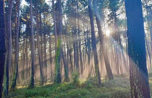 Villa Laura - Foto 53