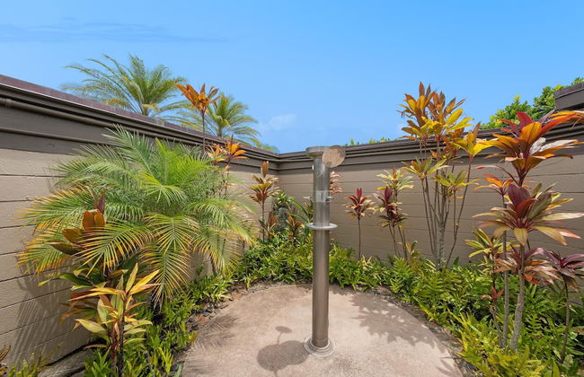 Kapalua Ridge Villas 311 - Photo 47