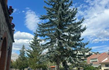 VUT-Pico Aguasalio - Foto 13