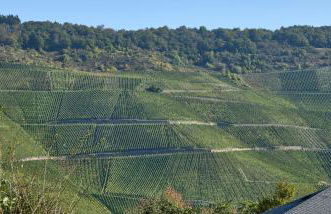 Ferienwohnung Gudrun - Foto 31