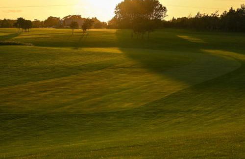 Staining Luxury Lodges - Photo 25