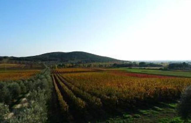 Bulichella - Foto 49