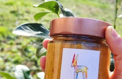 agriturismo contrada del raglio - Foto 27