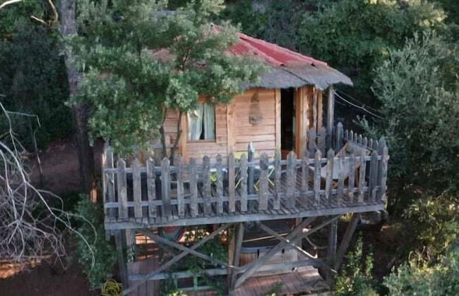 Domaine de la Tuilière - Foto 23