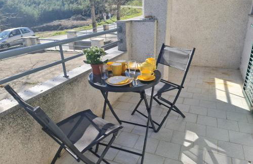 Garça-Real - Foto 10