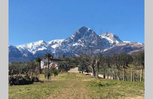 La Casetta di Trignano - Photo 20