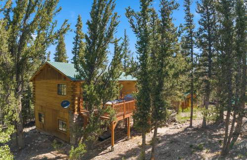 Relaxing Alpine Oasis - Minutes from Breckenridge - Foto 38