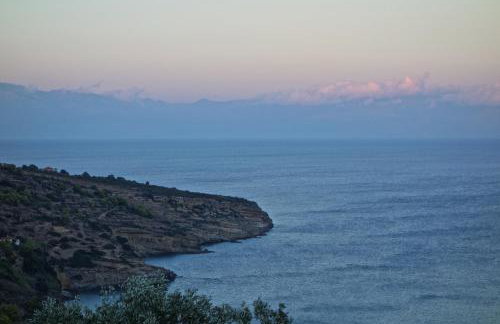 Eudaimonia - Photo 28