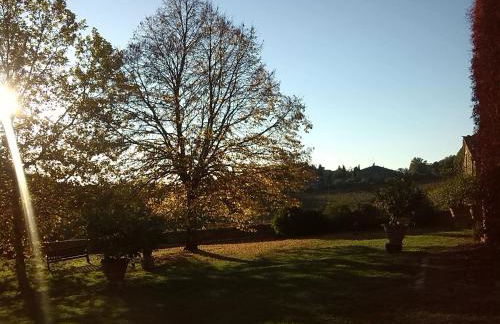 Agriturismo Villa Buoninsegna - Foto 29