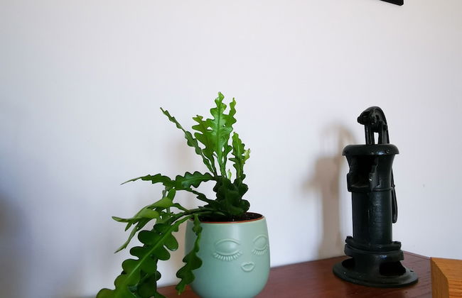 Villa Irene - Foto 7